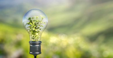 ÉLECTRICITÉ VERTE
